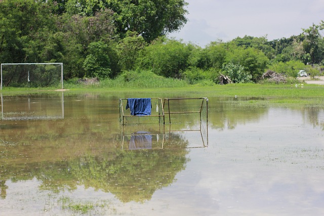 博主：山东足球青训中心落户济南起步区，进入实质性推进阶段